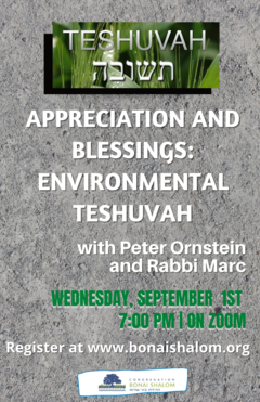 Banner Image for Appreciation and Blessings: Environmental Teshuva
