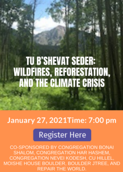 Banner Image for Tu b'Shevat Seder: Wildfires, Reforestation and the Climate Crisis